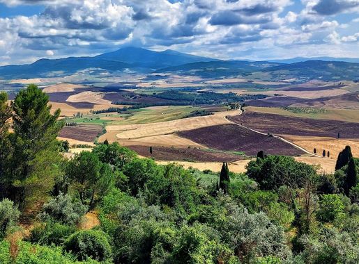 File:Pienza - Comune di Pienza - 2023-09-20 16-55-40 002.jpg - Wikimedia  Commons