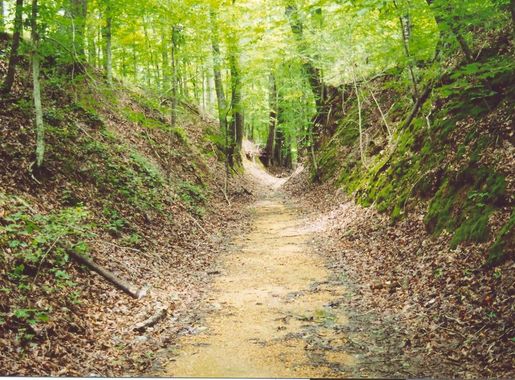 File:OldTraceSunken.jpg - Wikimedia Commons