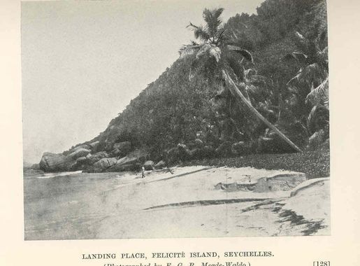 File:FMIB 36511 Landing Place, Felicite Island, Seychelles.jpeg - Wikimedia  Commons
