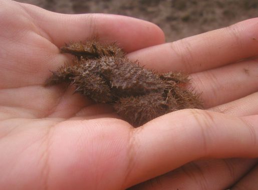 Labrador Nature Reserve - Wikipedia