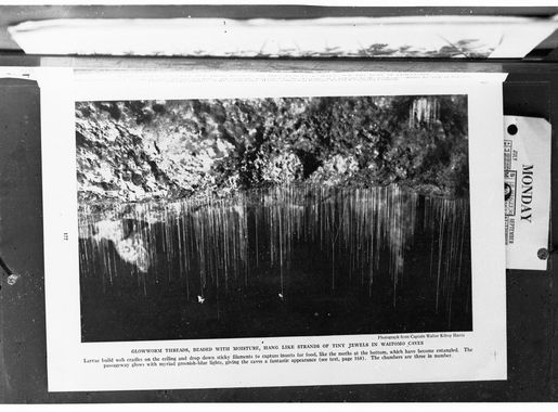 File:Glow Worms in the Waitomo Caves New Zealand(GN04828).jpg - Wikimedia  Commons