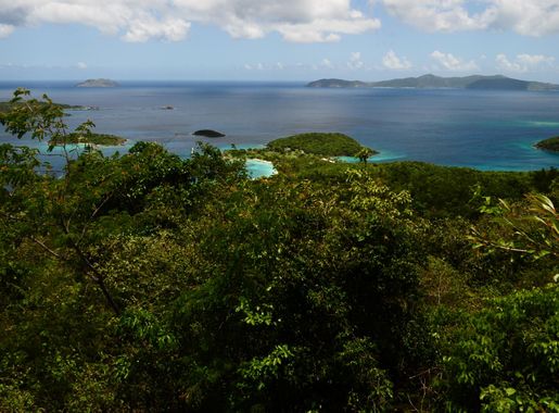 9-13-2022 caneel bay eeca - Virgin Islands National Park (U.S. National  Park Service)