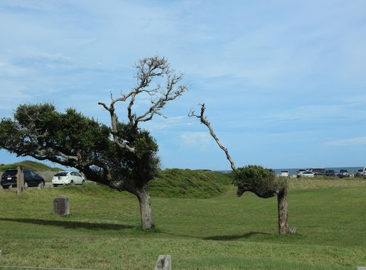 File:Fort Fisher State Historic Site (July 2023) 02.jpg - Wikimedia Commons
