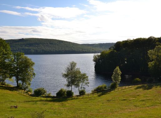 Archivo:Lac de Vassivière, depuis l'île.jpg - Wikipedia, la enciclopedia  libre