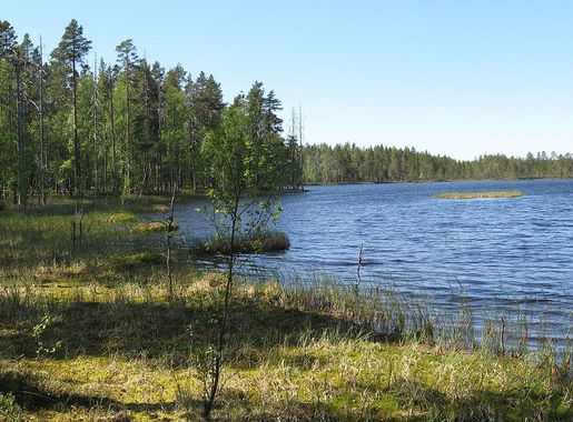 Tiedosto:Spitaalijärvi Lauhanvuori.jpg – Wikipedia