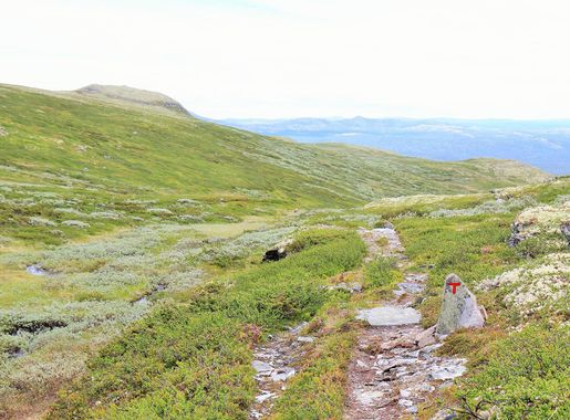 File:Søre Geitberget in the Rondane National Park with a T for  Turistforeningen.jpg - Wikimedia Commons