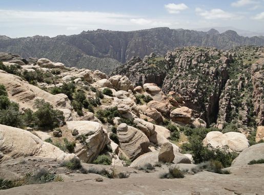 File:Dana Reserve 02.jpg - Wikipedia