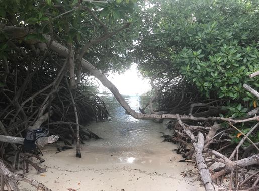 File:Beach view Mangel Halto.jpeg - Wikimedia Commons