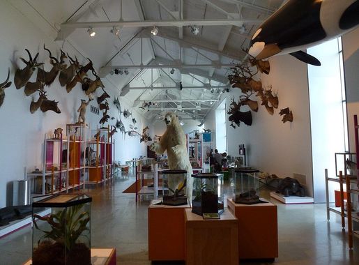 File:Los Angeles County Museum of Natural History - Discovery Center.JPG -  Wikimedia Commons