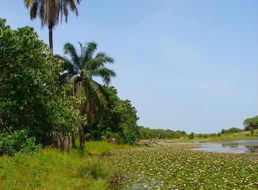 File:Kiang-West-Scenery-2007.jpg - Wikipedia