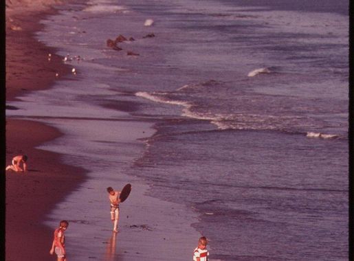 Tourists Public Beach Long Key | Free Photo - rawpixel