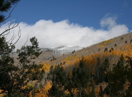 File:Santa Fe NF Fall.jpg - Wikipedia