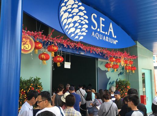 File:Entrance of S.E.A. Aquarium, Resorts World Sentosa, Singapore -  20180220.jpg - Wikimedia Commons