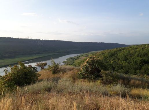 Fișier:Saharna Nouă Hulboaca - cetățuie. Vedere de pe cetate spre Valea  Nistrului.jpg - Wikipedia