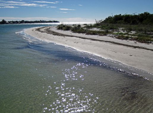 File:Marine shoreline of Cayo Costa Island (Pine Island Sound, Florida,  USA) 1 (24301579326).jpg - Wikimedia Commons