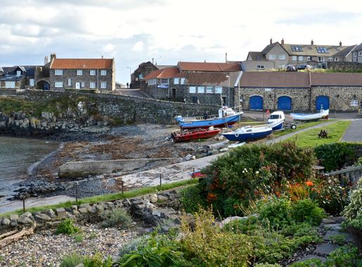 File:Craster (9815015975).jpg - Wikimedia Commons