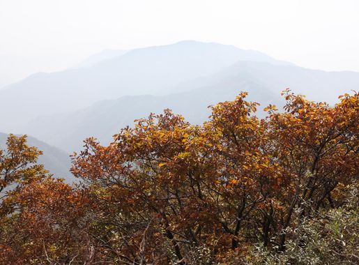 파일:Sobaeksan National Park, South Korea 4.jpg - 위키백과, 우리 모두의 백과사전