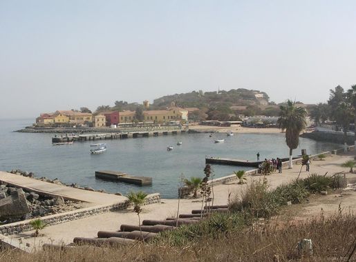 File:2007-02-13 Ile de Goree D Bruyere.JPG - Wikimedia Commons
