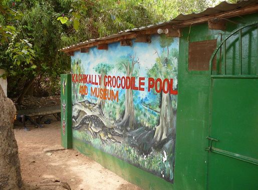 File:Gambia Kachikally 0002.jpg - Wikimedia Commons