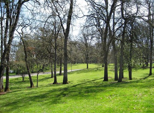 File:Bush Pasture Park Salem Oregon.JPG - Wikimedia Commons