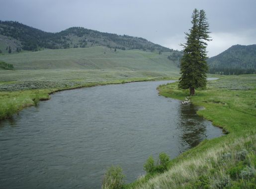 File:LowerSloughCreek.jpg - Wikimedia Commons