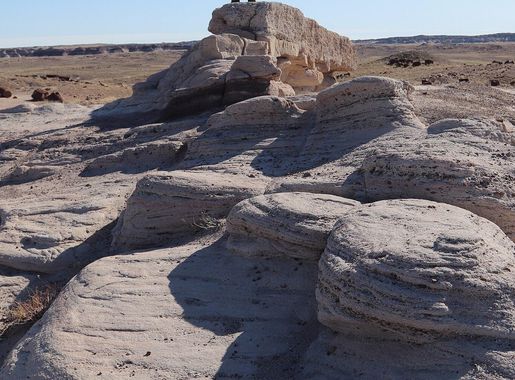 File:Giant Logs Trail, Petrified Forest National Park.jpg - Wikimedia  Commons