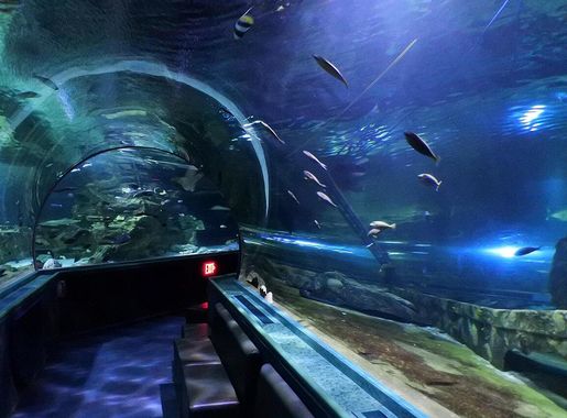 File:Tunnel in Underwater World, Guam.jpg - Wikimedia Commons