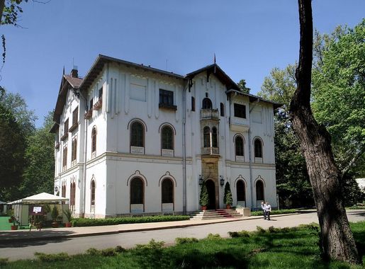 File:2012.05.01 Palatul Stirbei Buftea 009 stitch3+GIMP-.jpg - Wikipedia