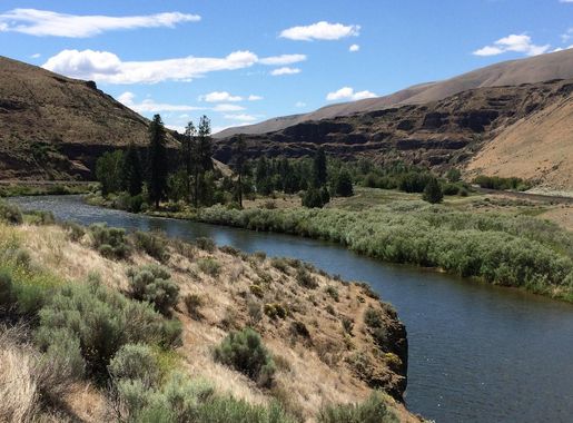 Yakima River Canyon Campgrounds (Umtanum, Lmuma Creek, Big Pines, Roza) |  Bureau of Land Management