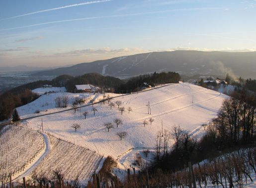 File:Pohorje (4329936853).jpg - Wikimedia Commons
