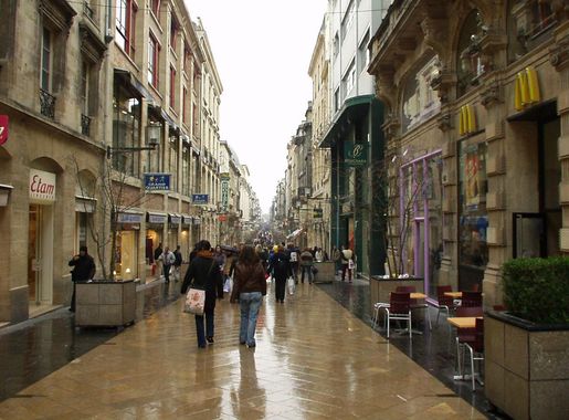 Rue Sainte-Catherine in Bordeaux, France image - Free stock photo - Public  Domain photo - CC0 Images
