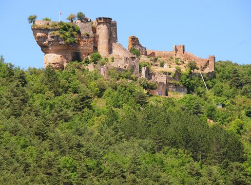 Soubor:Castle Peyrelade high on the rock above the Tarn valley -  panoramio.jpg – Wikipedie