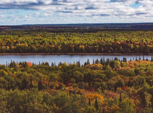 File:Manitoulin Island Fall Colours - Autumn on the Cup and Saucer Hiking  Trail, Ontario, Canada (30278465005).jpg - Wikimedia Commons