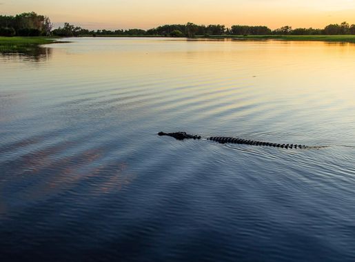 File:Scary Sunrise At Yellow Water Billlabong.jpg - Wikimedia Commons