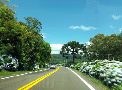 Ficheiro:Rota Romantica - Gramado - panoramio (2).jpg – Wikipédia, a  enciclopédia livre