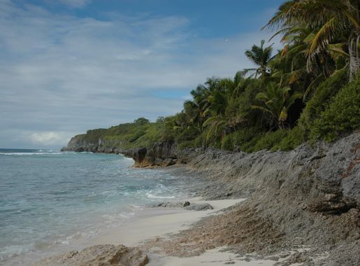 File:Henderson Island-110250.jpg - Wikimedia Commons