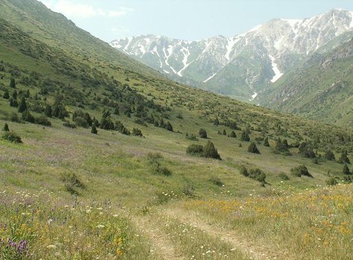File:Aksu Jabagly 2.JPG - Wikipedia
