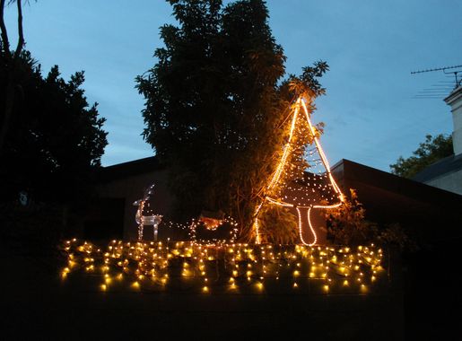 File:Christmas Lights on Franklin Road.jpg - Wikimedia Commons