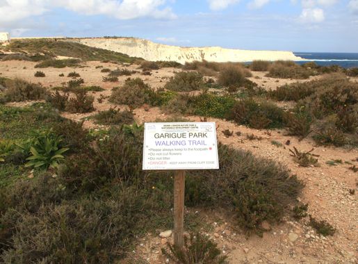 File:Malta - Marsaxlokk - Triq Delimara - Xrobb L-Ghagin 16 ies.jpg -  Wikimedia Commons