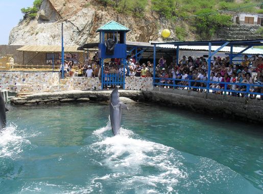 File:Acuario el rodadero.jpg - Wikimedia Commons