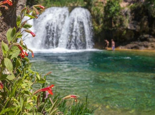 File:Waterfall Trail on Fossil Creek (30064915386).jpg - Wikimedia Commons