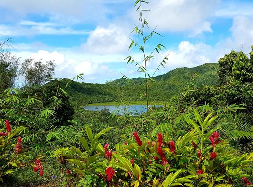 File:Grand Etang Lake.jpg - Wikimedia Commons