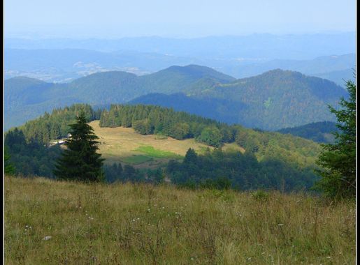 File:Vucija Planina - panoramio (7).jpg - Wikimedia Commons
