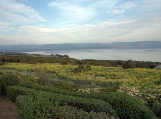 File:View of the Sea of Galilee from the Mount of the Beatitudes.jpg -  Wikimedia Commons