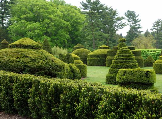File:Topiary - Longwood Gardens - DSC00850.JPG - Wikimedia Commons