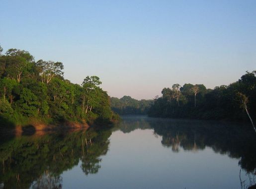 File:Morning in the Amazon, Pacaya-Samiria.jpg - Wikimedia Commons