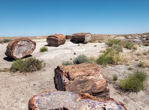 File:USA - Arizona - Petrified Forest National Park - 52977152902.jpg -  Wikimedia Commons