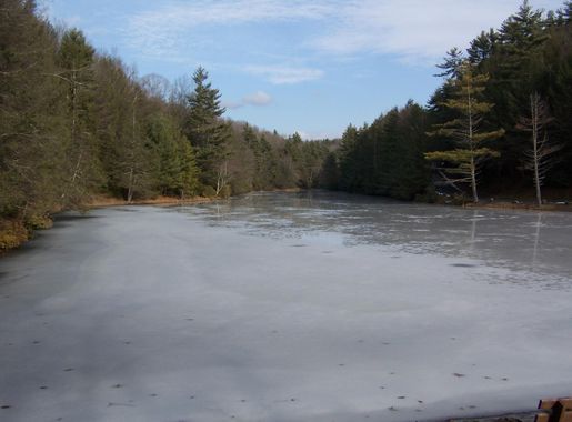 File:Seneca State Forest.jpg - Wikipedia