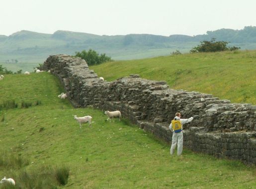 File:Hadrians Wall with Weedkiller.JPG - Wikimedia Commons