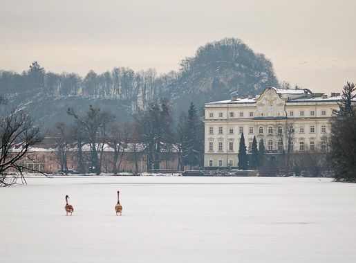 File:Leopoldskroner Weiher vor Schloss Leopoldskron.JPG - Wikimedia Commons